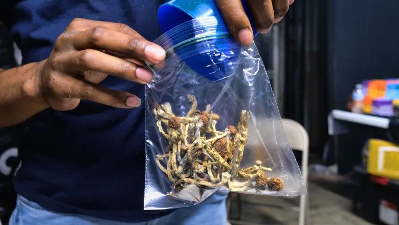 Health-care providers seek exemptions for therapeutic training in magic mushrooms