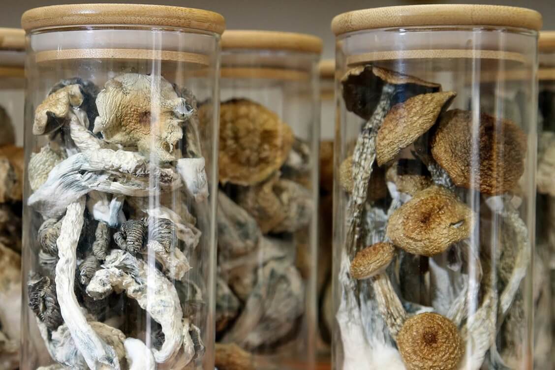 Calgary man could get assisted death but can’t get access to medical ‘magic mushrooms’